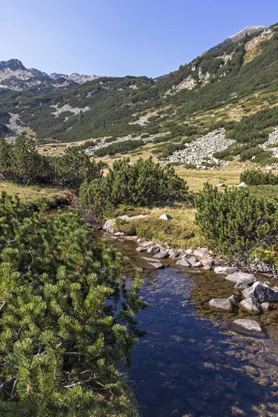 Landscape of Banderitsa River Valley, Pirin Mountain, Bulgaria — Stok Foto