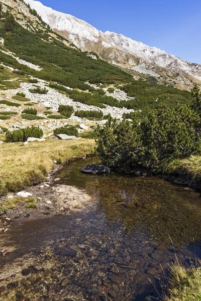 Landschap van Banderitsa River Valley, Pirin Mountain, Bulgarije — Stockfoto