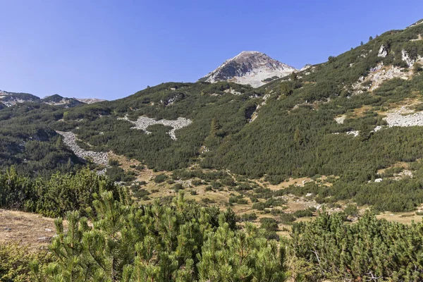 Landscape of Banderitsa River Valley, Pirin Mountain, Bulgaria — Stok Foto