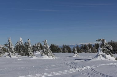 Bulgaristan 'ın Vitosha Dağı Kış Panoraması