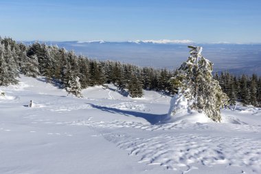 Bulgaristan 'ın Vitosha Dağı Kış Panoraması