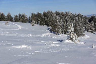 Bulgaristan 'ın Vitosha Dağı Kış Panoraması