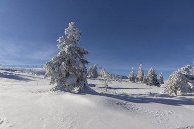 Bulgaristan 'ın Vitosha Dağı Kış Panoraması