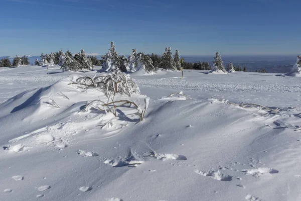 Winterpanorama des Vitosha-Gebirges, Bulgarien — Stockfoto