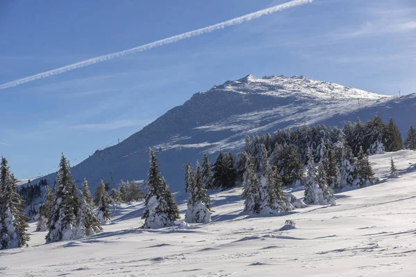 Zimowa panorama góry Vitosha, Bułgaria — Zdjęcie stockowe