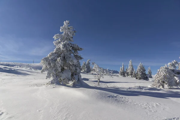 Panorama invernale della montagna di Vitosha, Bulgaria — Foto Stock