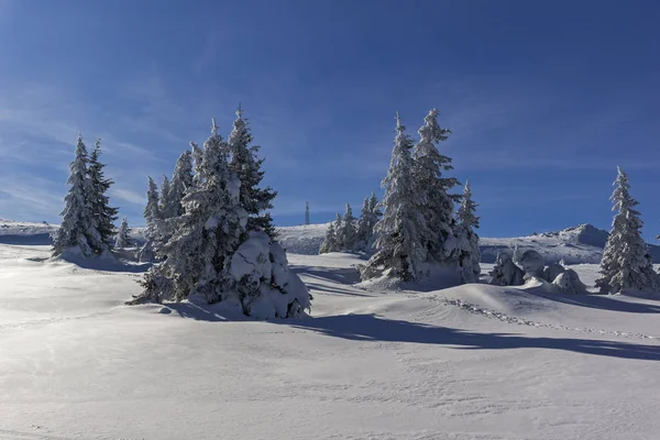 Winter Panorama van Vitosha Mountain, Bulgarije — Stockfoto