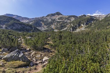 Banderitsa Nehri Vadisi, Pirin Dağı, Bulgaristan