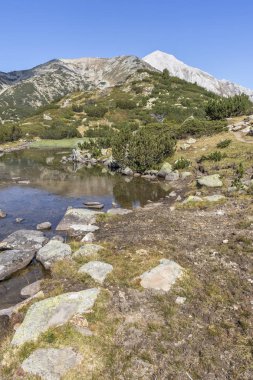 Dağ nehri ve Vihren Tepesi, Pirin Dağı, Bulgaristan