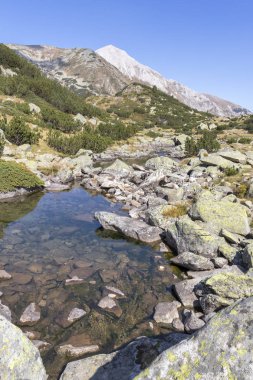 Dağ nehri ve Vihren Tepesi, Pirin Dağı, Bulgaristan