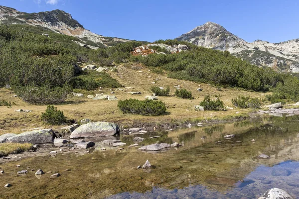 Sungai pegunungan di Pirin Mountain, Bulgaria — Stok Foto