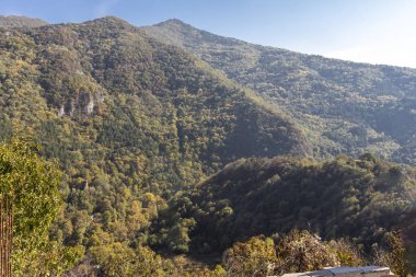 Rodop Dağlarının Sonbahar Manzarası, Bulgaristan