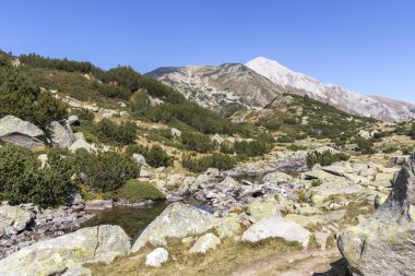 Dağ nehri ve Vihren Tepesi, Pirin Dağı, Bulgaristan