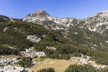 Banderitsa Nehri Vadisi, Pirin Dağı, Bulgaristan