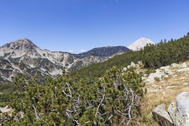 Banderitsa Nehri Vadisi, Pirin Dağı, Bulgaristan