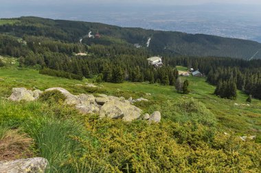 Bulgaristan 'ın Vitosha Dağı yaz manzarası