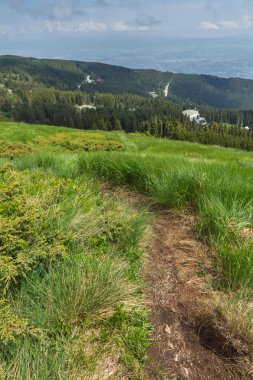 Bulgaristan 'ın Vitosha Dağı yaz manzarası