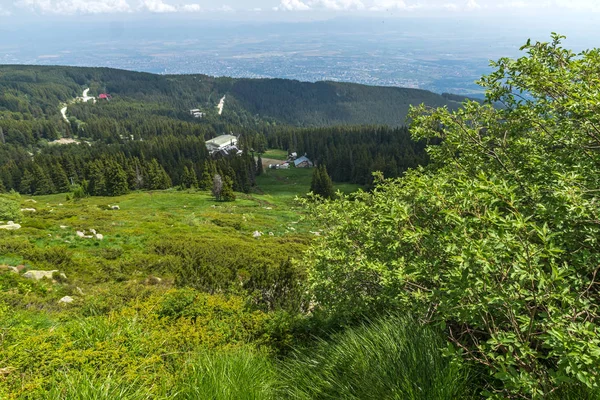 Letni widok na górę Vitosha, Bułgaria — Zdjęcie stockowe