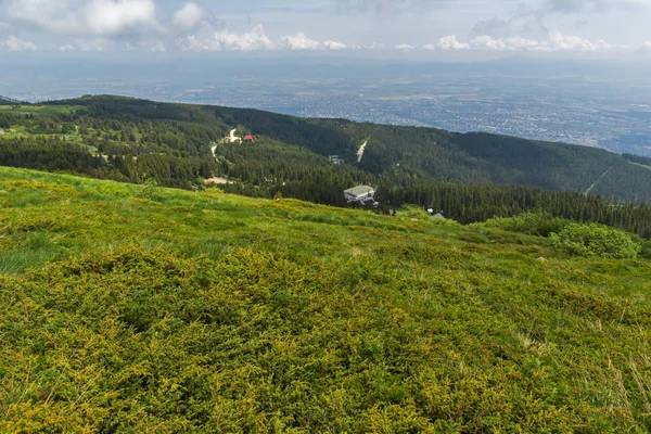 Sommer-Ansicht des Vitosha-Berges, Bulgarien — Stockfoto