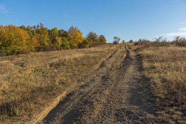 Bulgaristan 'ın Cherna Gora Dağı' nın sonbahar manzarası