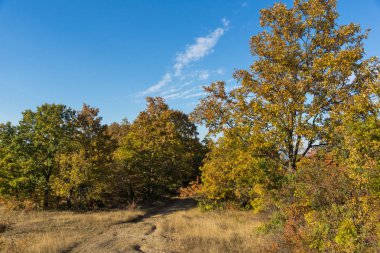 Bulgaristan 'ın Cherna Gora Dağı' nın sonbahar manzarası