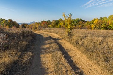 Bulgaristan 'ın Cherna Gora Dağı' nın sonbahar manzarası