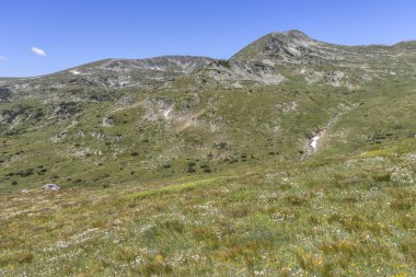 Belmeken Peak yakınlarındaki manzara, Rila dağı, Bulgaristan