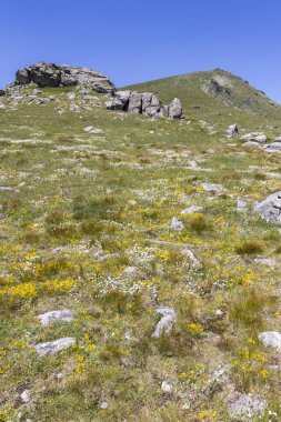 Belmeken Peak yakınlarındaki manzara, Rila dağı, Bulgaristan
