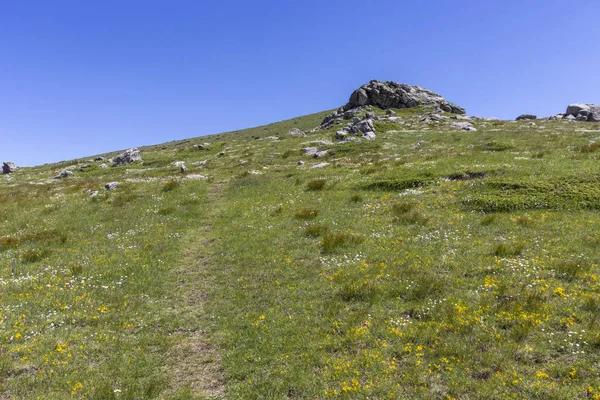 Landschaft in der Nähe des Belmeken-Gipfels, Rila-Gebirge, Bulgarien — Stockfoto