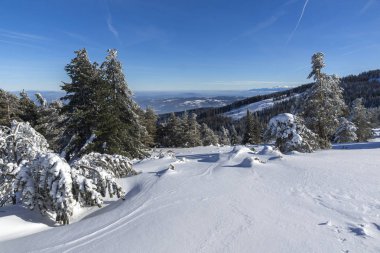 Bulgaristan 'ın Vitosha Dağı kış manzarası