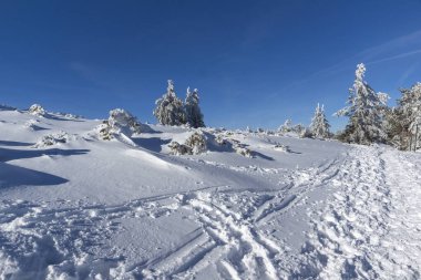 Bulgaristan 'ın Vitosha Dağı kış manzarası
