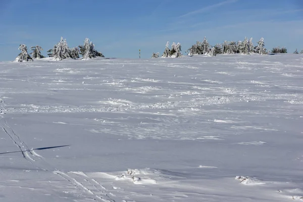 Vue d'hiver de la montagne de Vitosha, Bulgarie — Photo