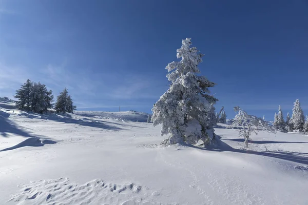 Winter uitzicht op Vitosha Mountain, Bulgarije — Stockfoto