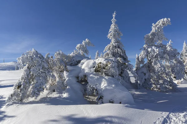 Vista de invierno de la montaña Vitosha, Bulgaria —  Fotos de Stock