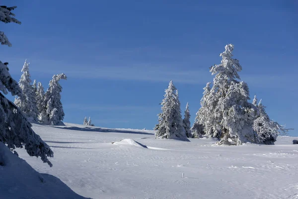 Vista de inverno da Montanha Vitosha, Bulgária — Fotografia de Stock