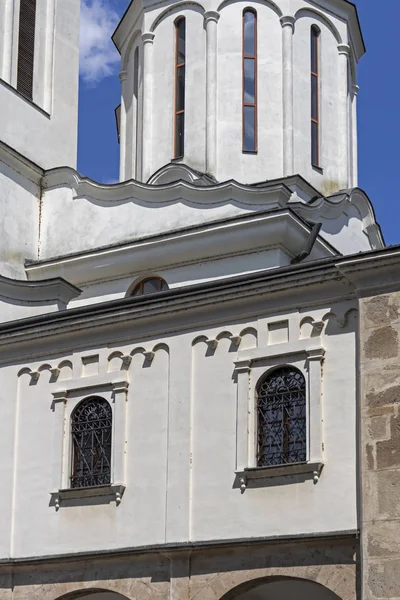 塞尔维亚尼斯市圣三一东正教大教堂 — 图库照片