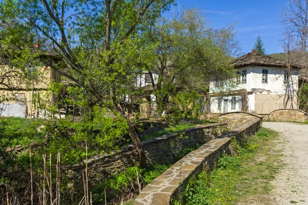 Staro Stefanovo Bulgaria エイプリル社2014年9月 ブルガリアのラヴェチ地方 スタロ ステファノヴォの歴史ある村の典型的な家屋 — ストック写真