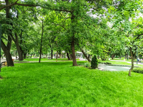 Панорама Царского Симеонского Сада Городе Пловдив Болгария — стоковое фото