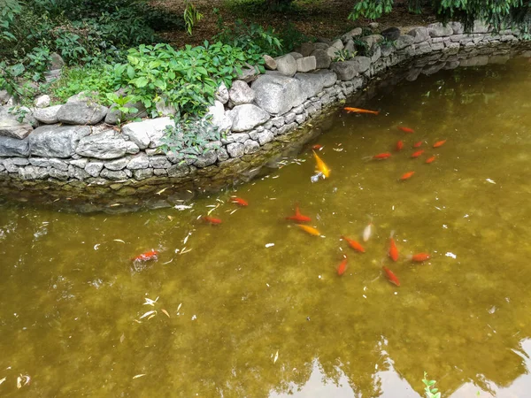 Panoráma Cár Simeon Garden Város Plovdiv Bulgária — Stock Fotó