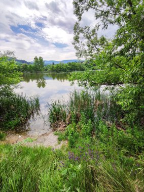 Pancharevo Gölü Bahar Manzarası, Sofya Şehir Bölgesi, Bulgaristan