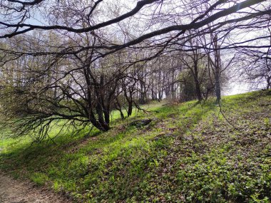 Bahar manzarası Vitosha Dağı, Sofya Şehir Bölgesi, Bulgaristan