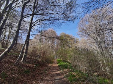 Bahar manzarası Vitosha Dağı, Sofya Şehir Bölgesi, Bulgaristan