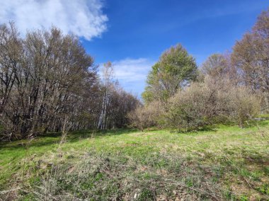 Bahar manzarası Vitosha Dağı, Sofya Şehir Bölgesi, Bulgaristan