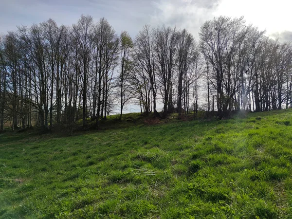 Frühlingslandschaft Des Vitosha Gebirges Stadtgebiet Sofia Bulgarien — Stockfoto