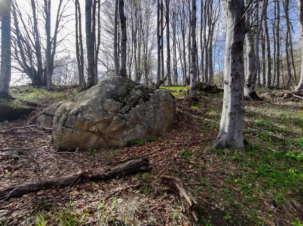 Paisagem Primavera Montanha Vitosha Região Cidade Sofia Bulgária — Fotografia de Stock