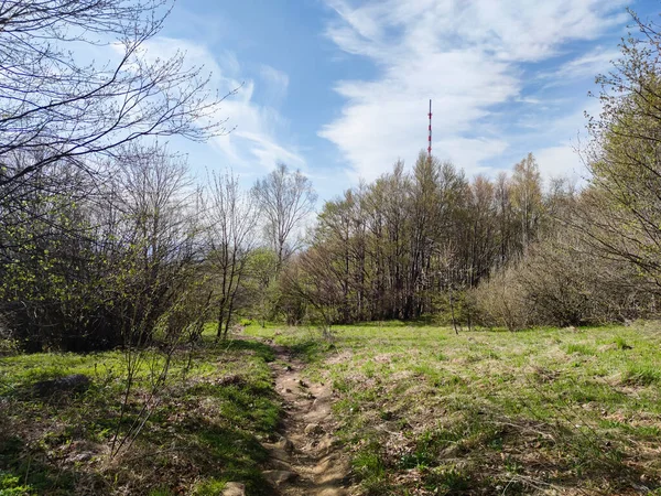 Весенний Пейзаж Горы Витоша Софийский Район Болгария — стоковое фото