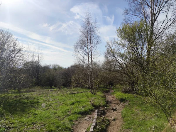 Jarní Krajina Hory Vitosha Sofie Bulharsko — Stock fotografie