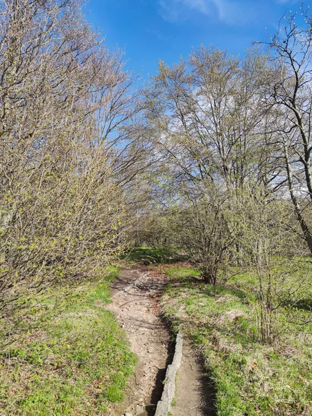 Paisagem Primavera Montanha Vitosha Região Cidade Sofia Bulgária — Fotografia de Stock