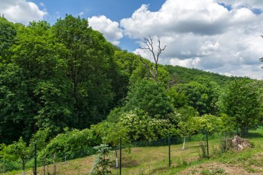 Lyulin Dağı 'nın bahar manzarası, Sofya Şehir Bölgesi, Bulgaristan