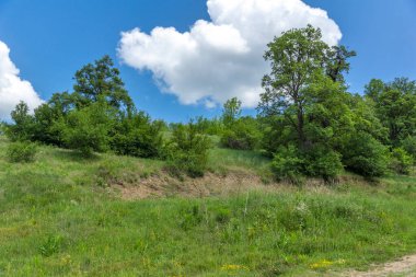 Lyulin Dağı 'nın bahar manzarası, Sofya Şehir Bölgesi, Bulgaristan